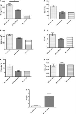 Energetics and Water Flux in the Subterranean Rodent Family Bathyergidae